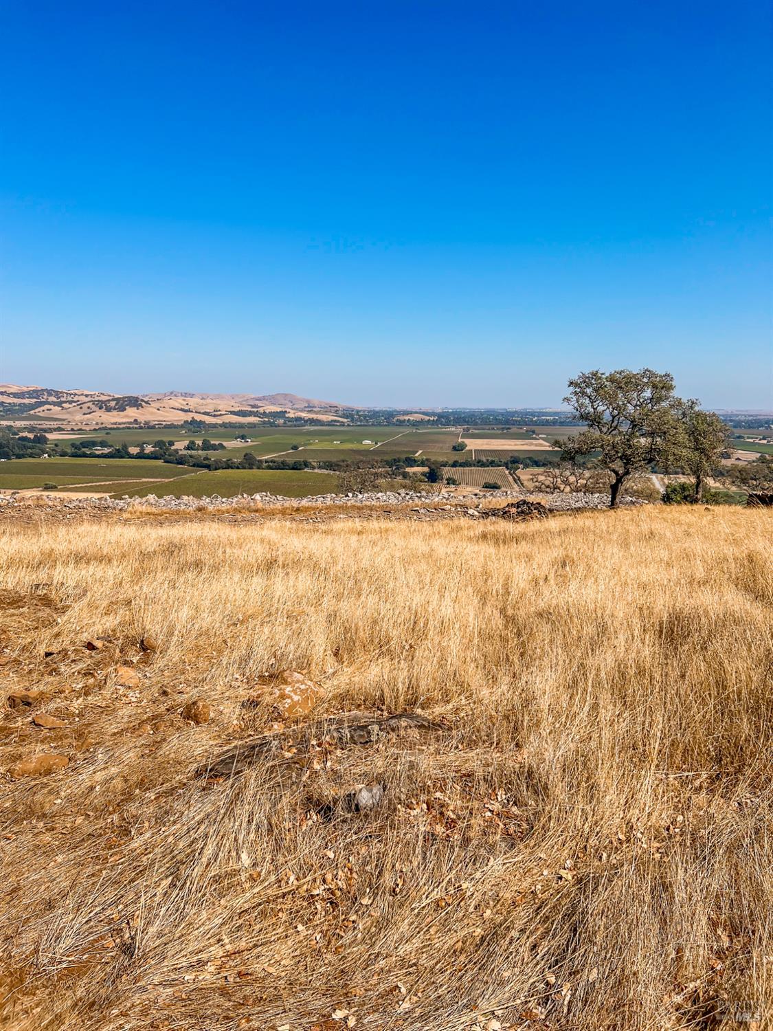 4355 Stonefield Lane Fairfield CA 94534