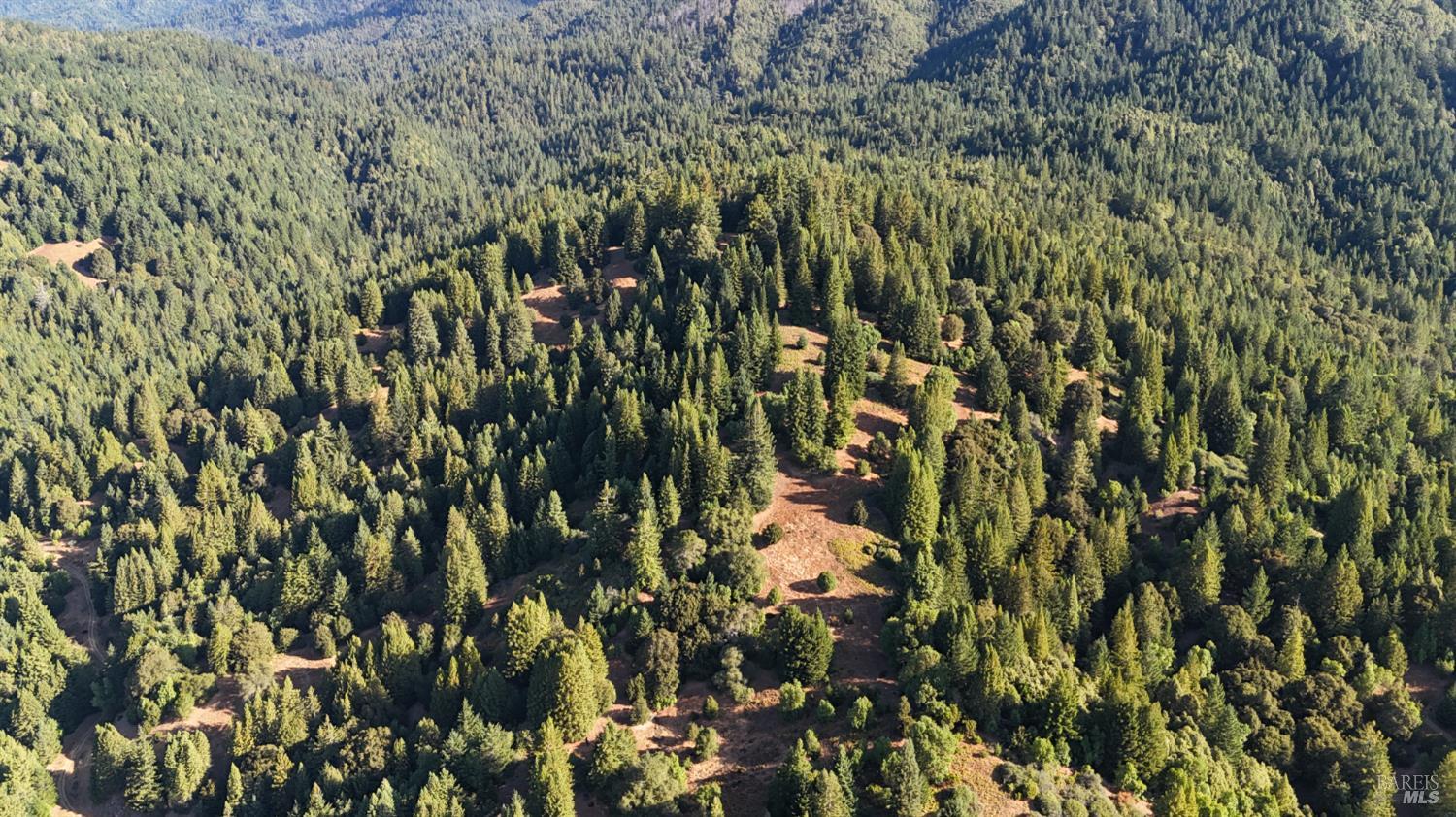 0 Mountain View Road Manchester CA 95459