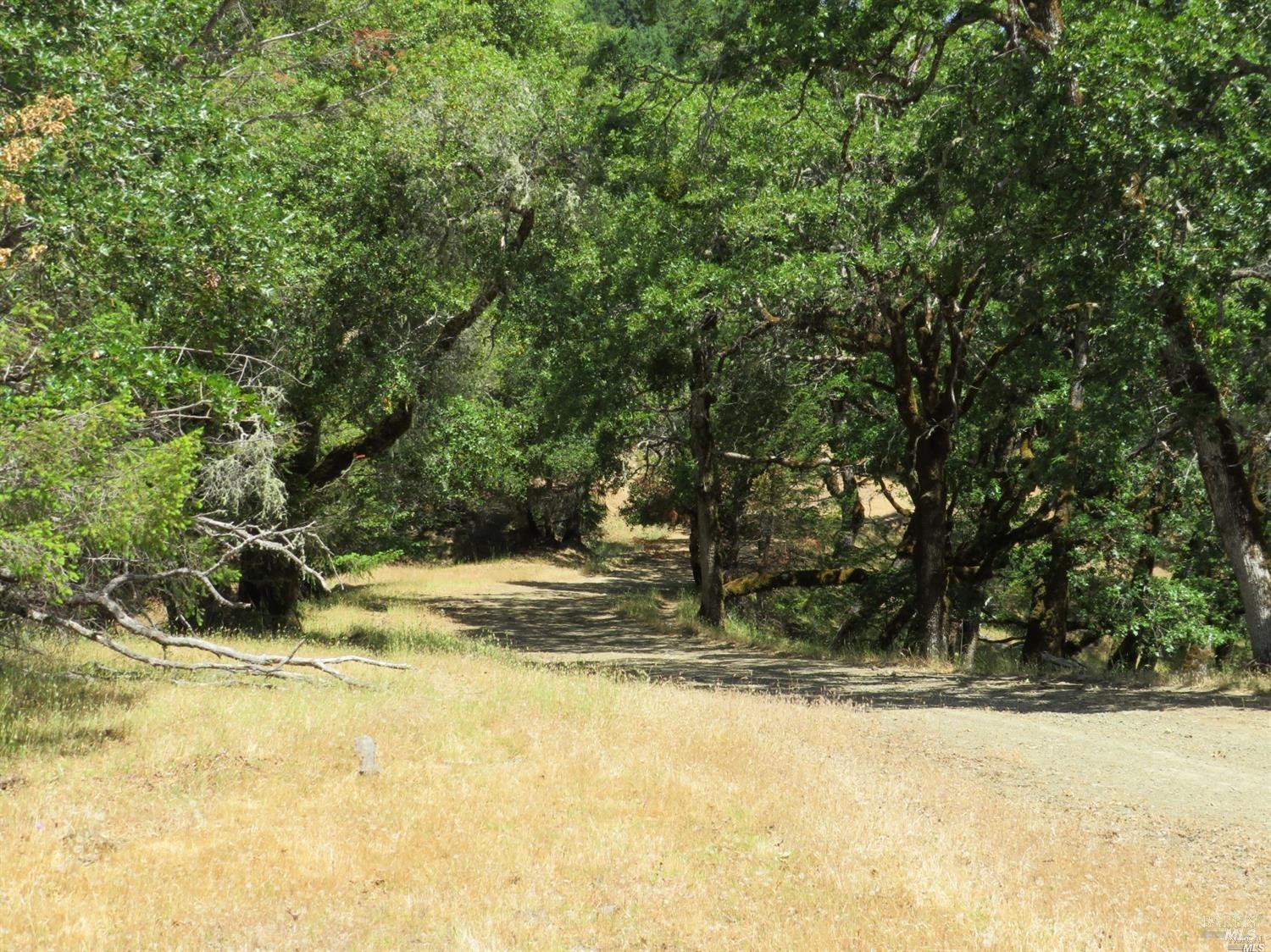 0 Mountain View Road Manchester CA 95459