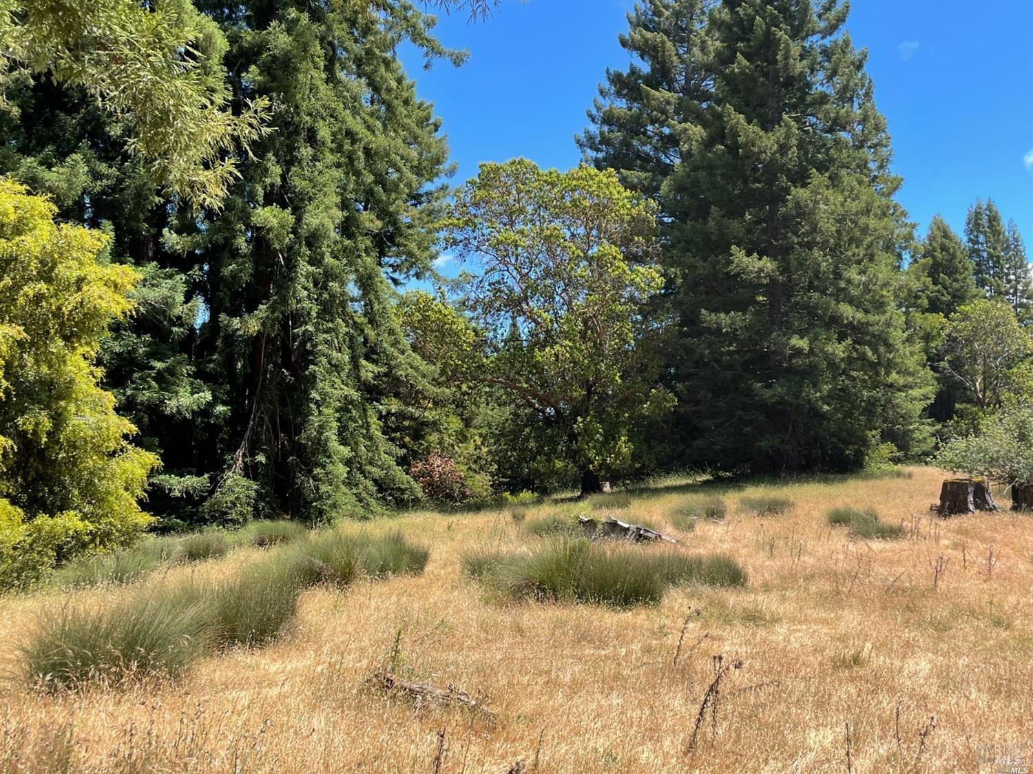 0 Mountain View Road Manchester CA 95459