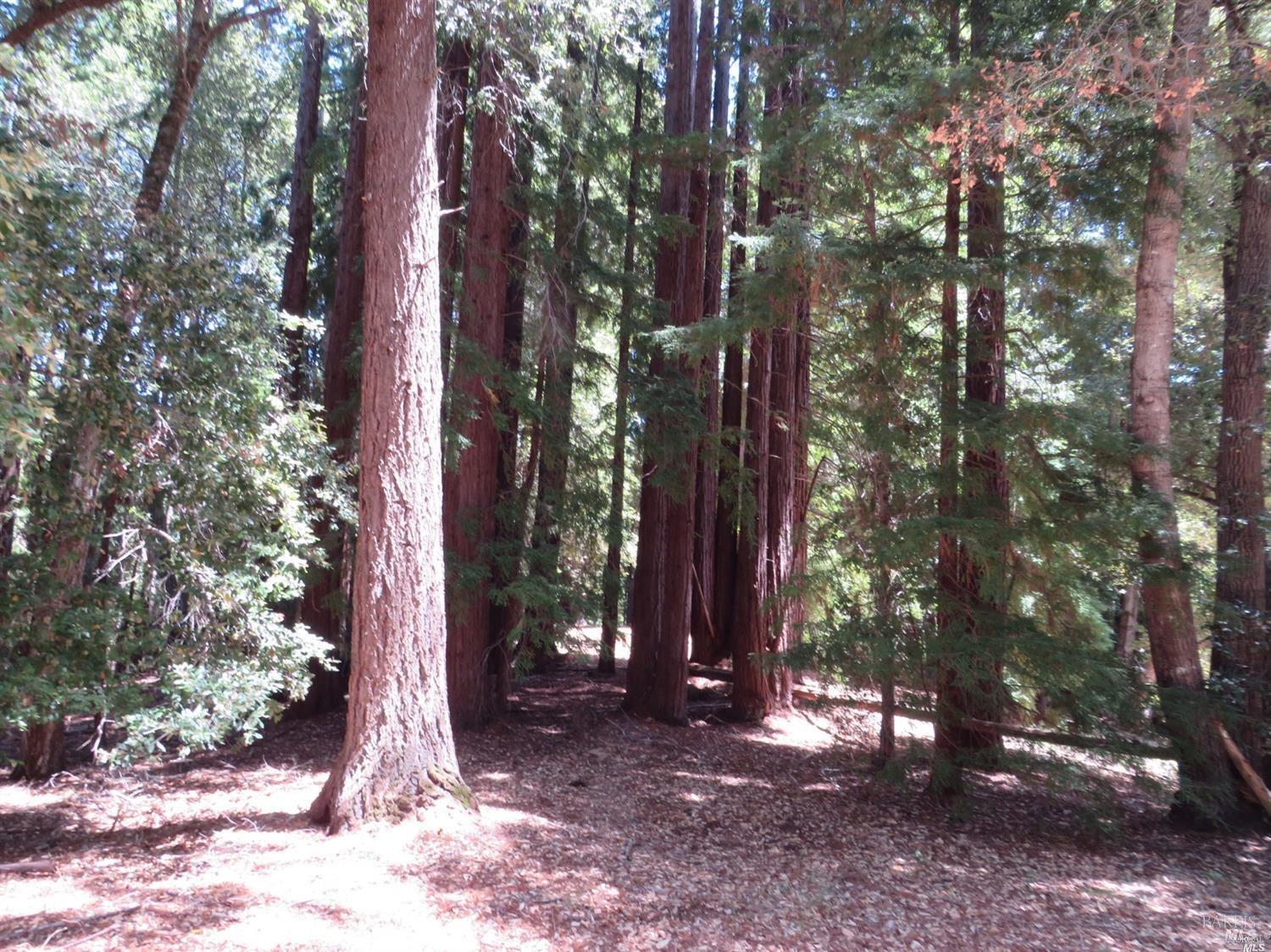 0 Mountain View Road Manchester CA 95459
