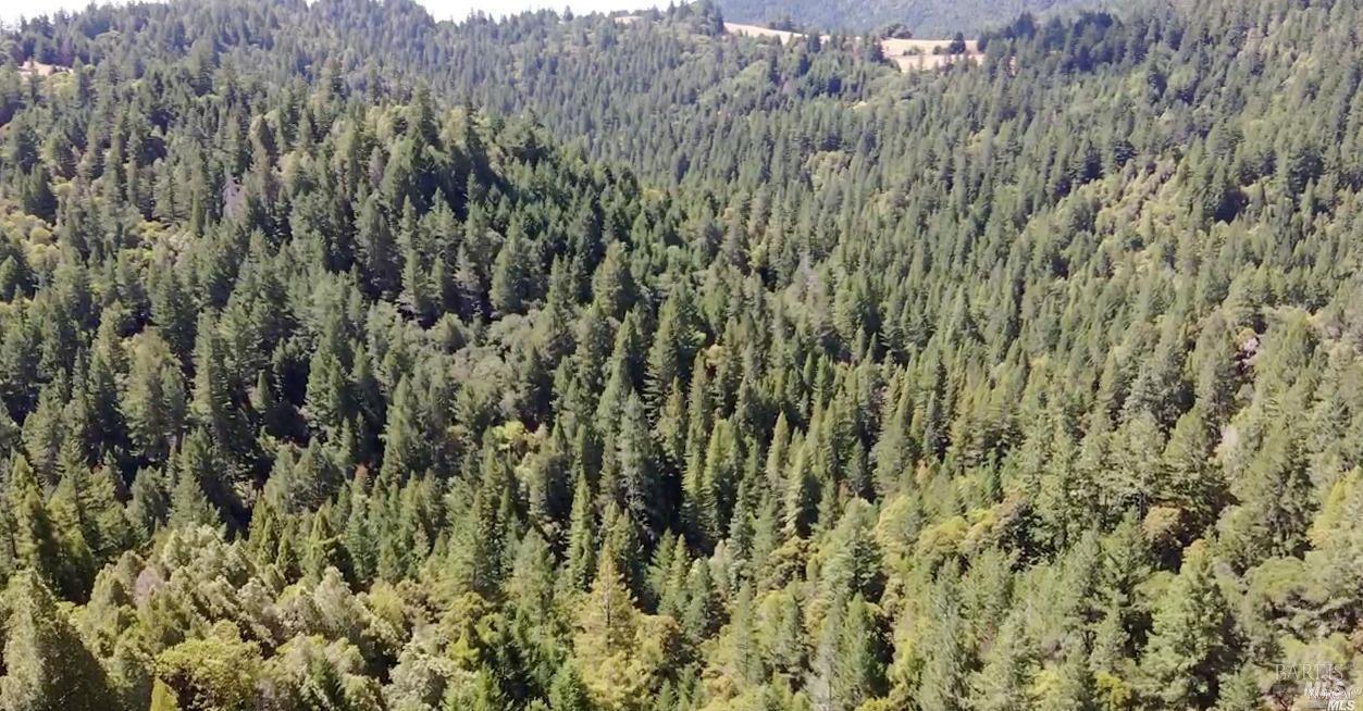 0 Mountain View Road Manchester CA 95459