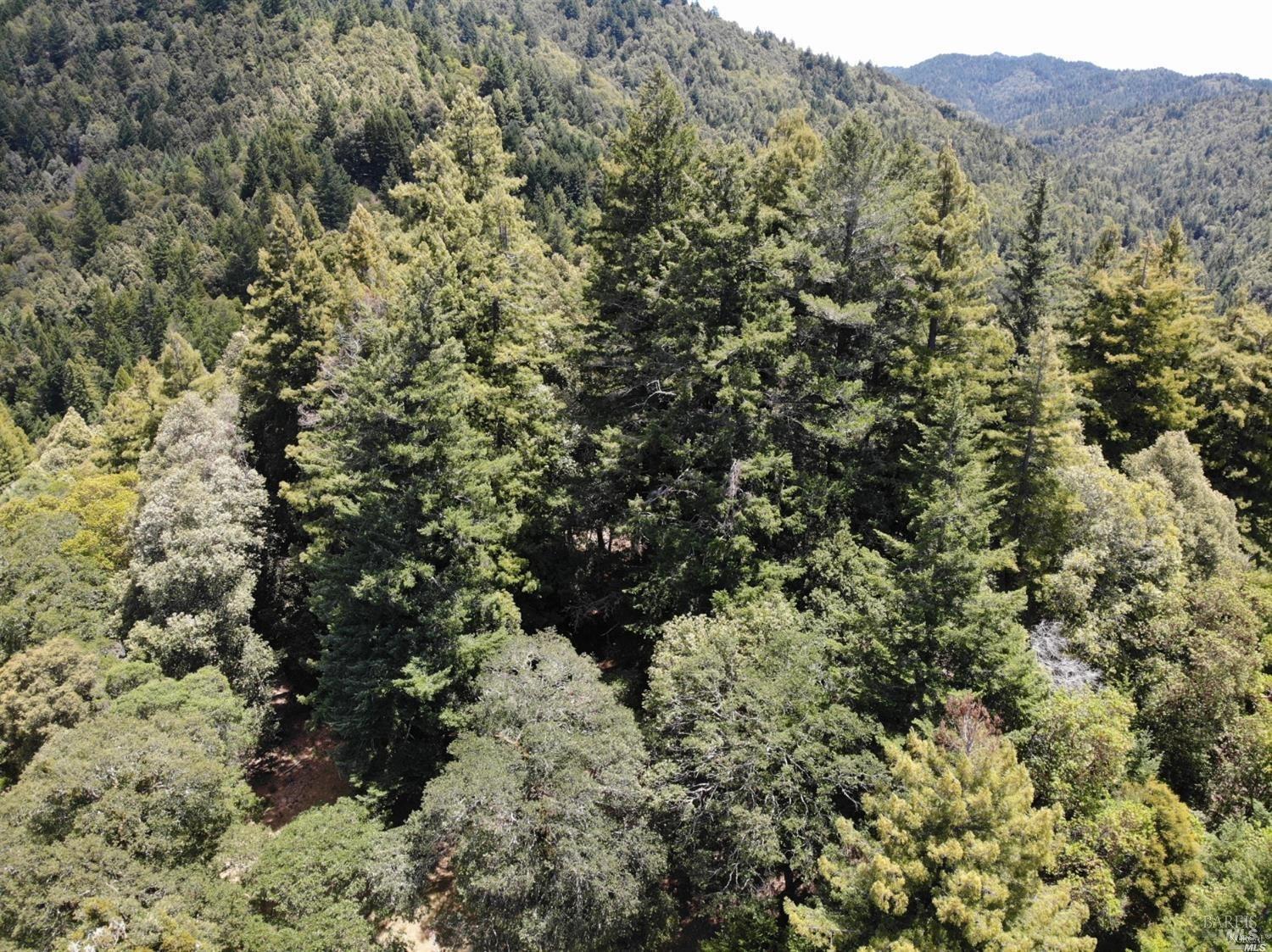 0 Mountain View Road Manchester CA 95459