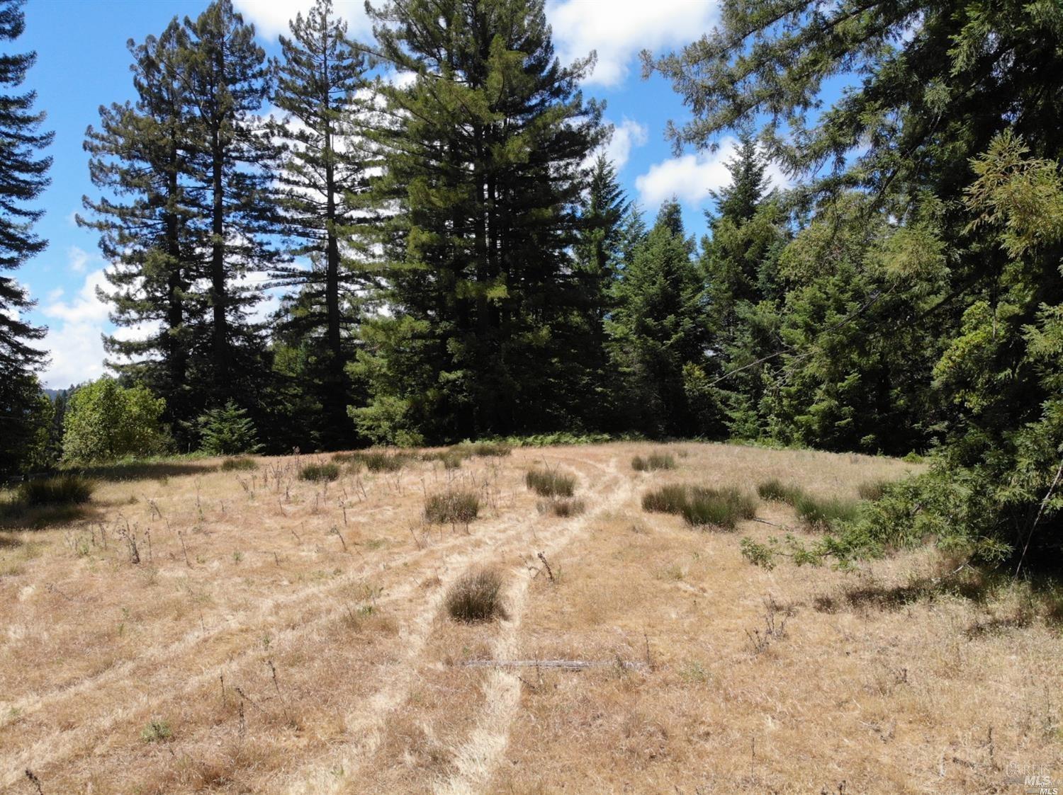 0 Mountain View Road Manchester CA 95459