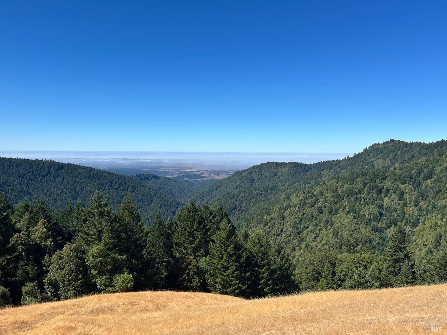 0 Mountain View Road Manchester CA 95459