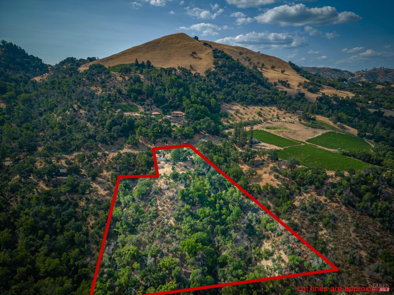 590 Wall Road Napa CA 94558