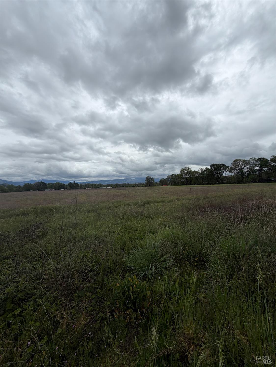 77685 Crawford Road Covelo CA 95428