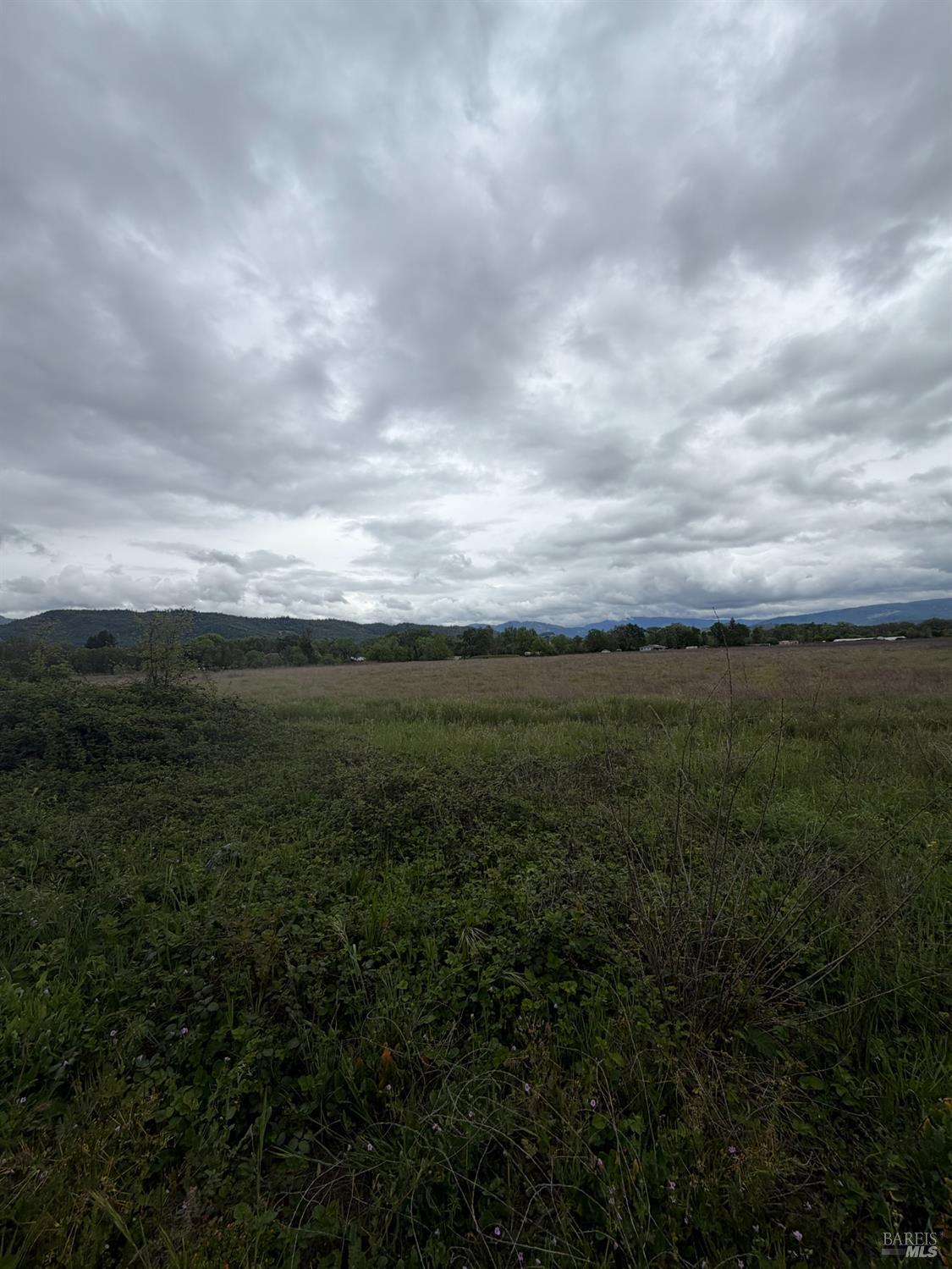 77685 Crawford Road Covelo CA 95428