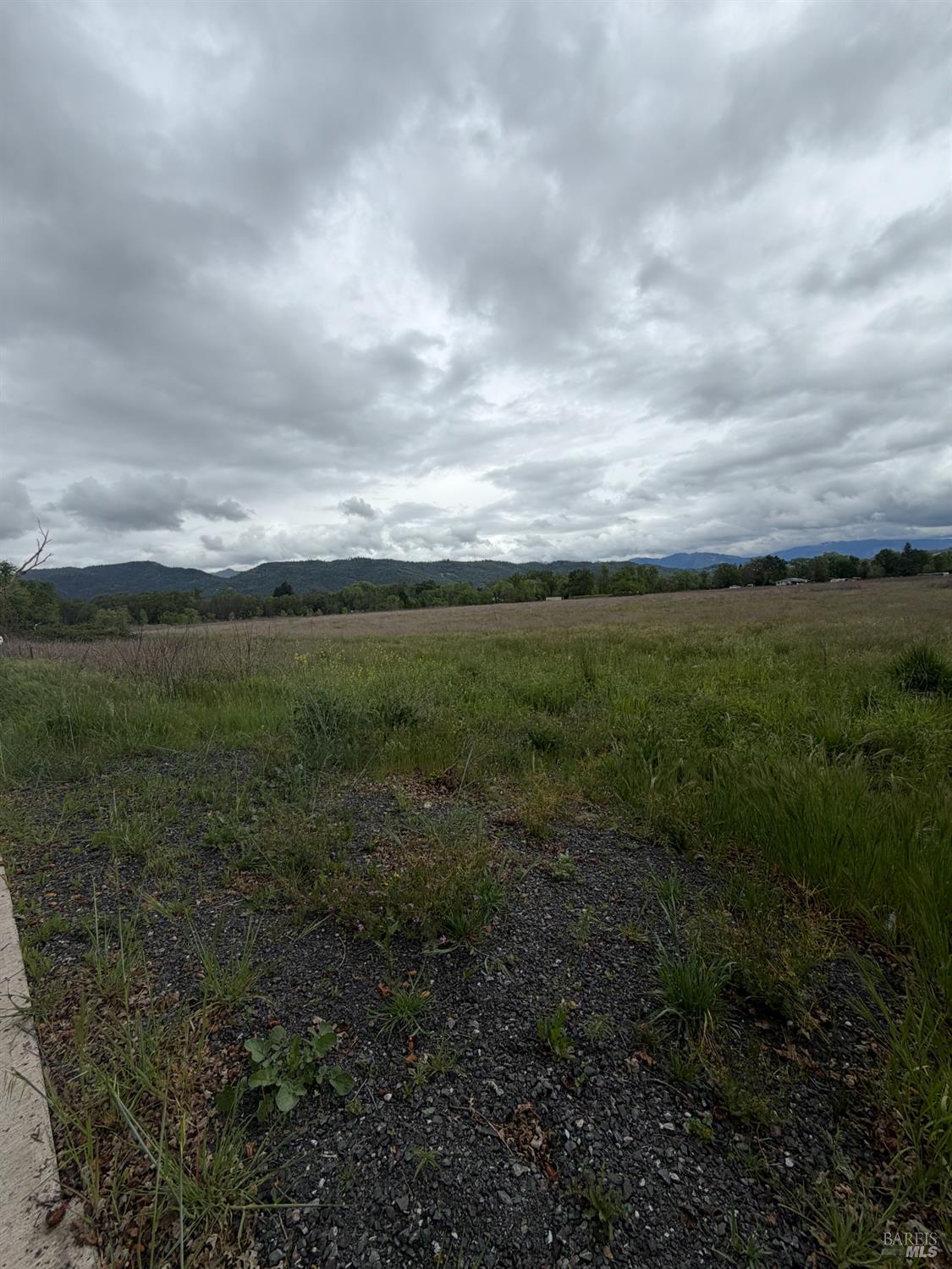 77685 Crawford Road Covelo CA 95428