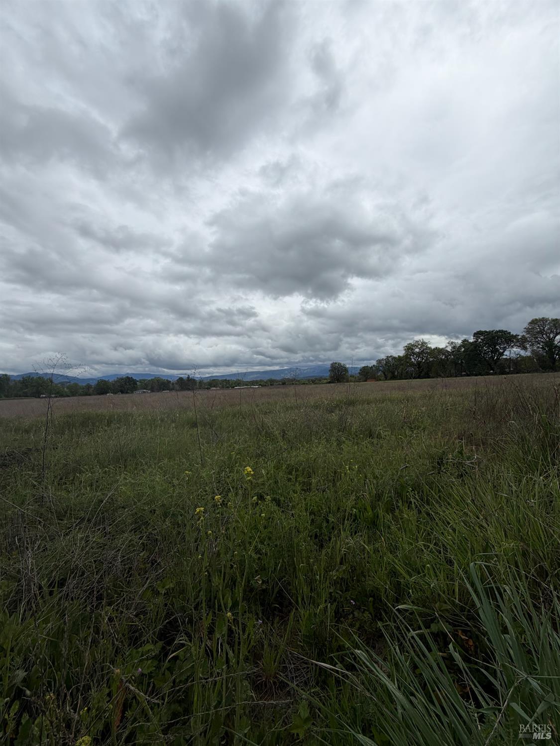 77685 Crawford Road Covelo CA 95428