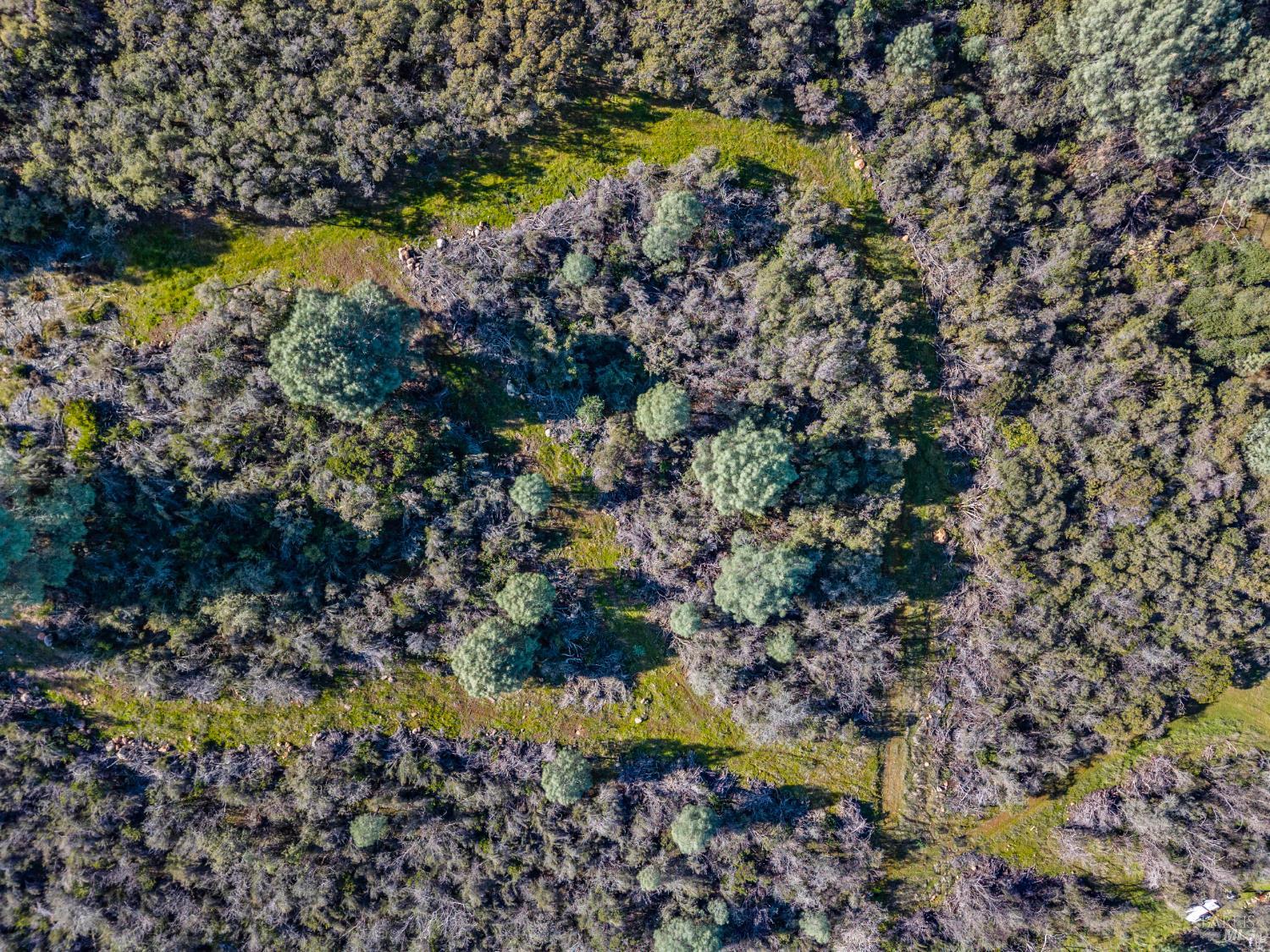 11390 Point Lakeview Road Kelseyville CA 95451