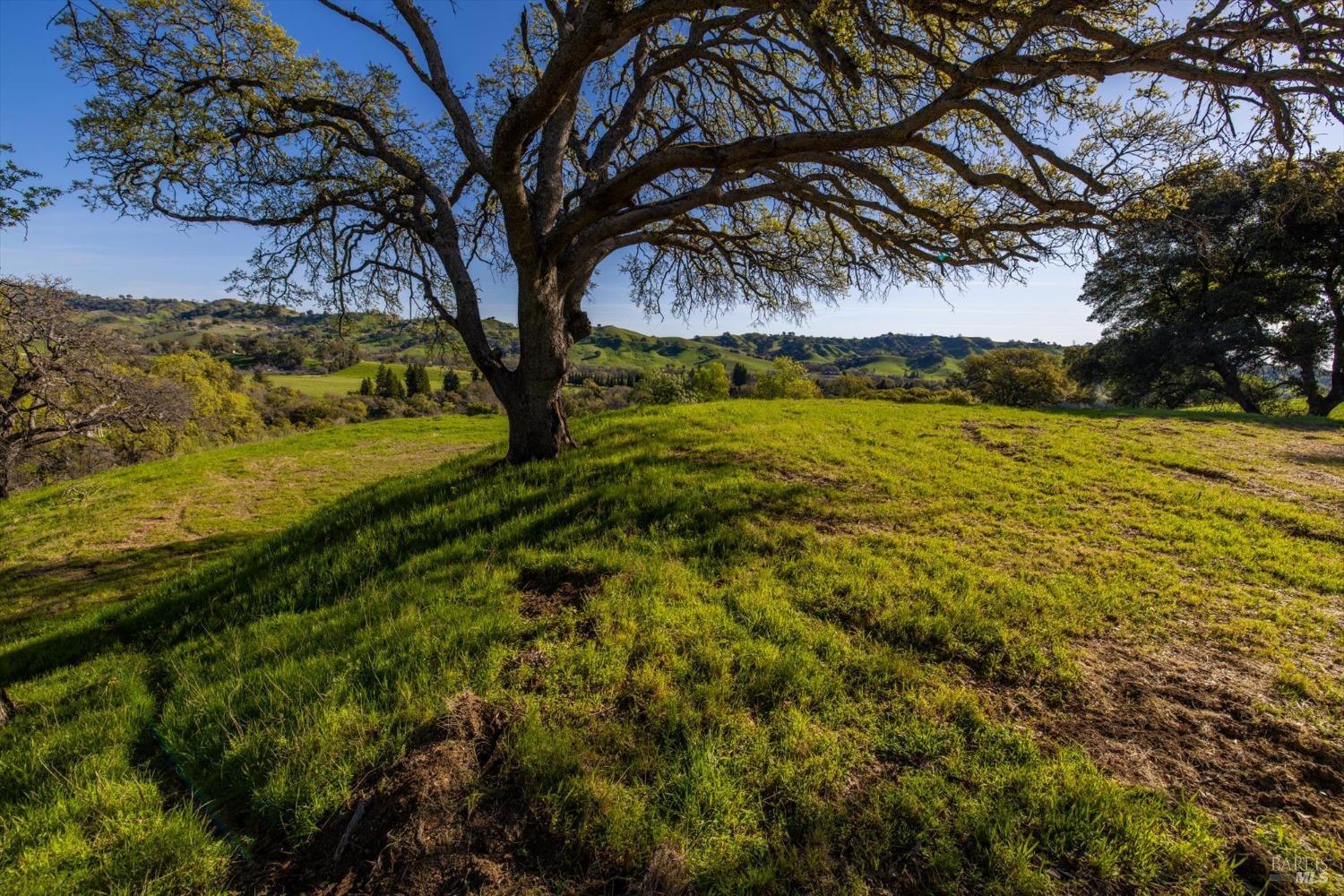 7031 Robindale Lane Vacaville CA 95688