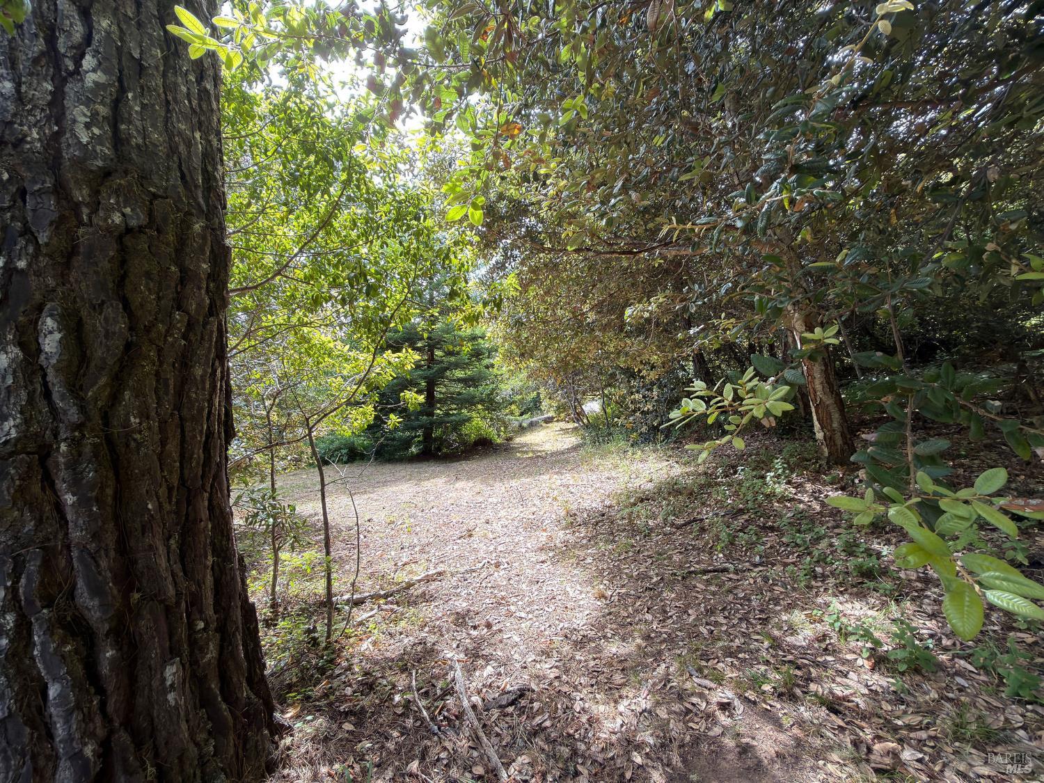 76 Compass Close The Sea Ranch CA 95497