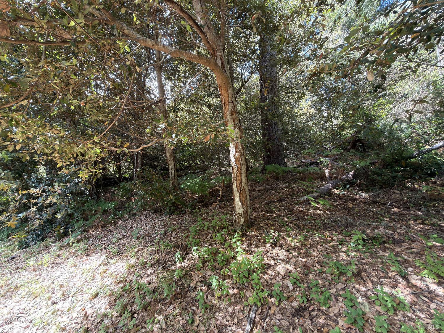 76 Compass Close The Sea Ranch CA 95497