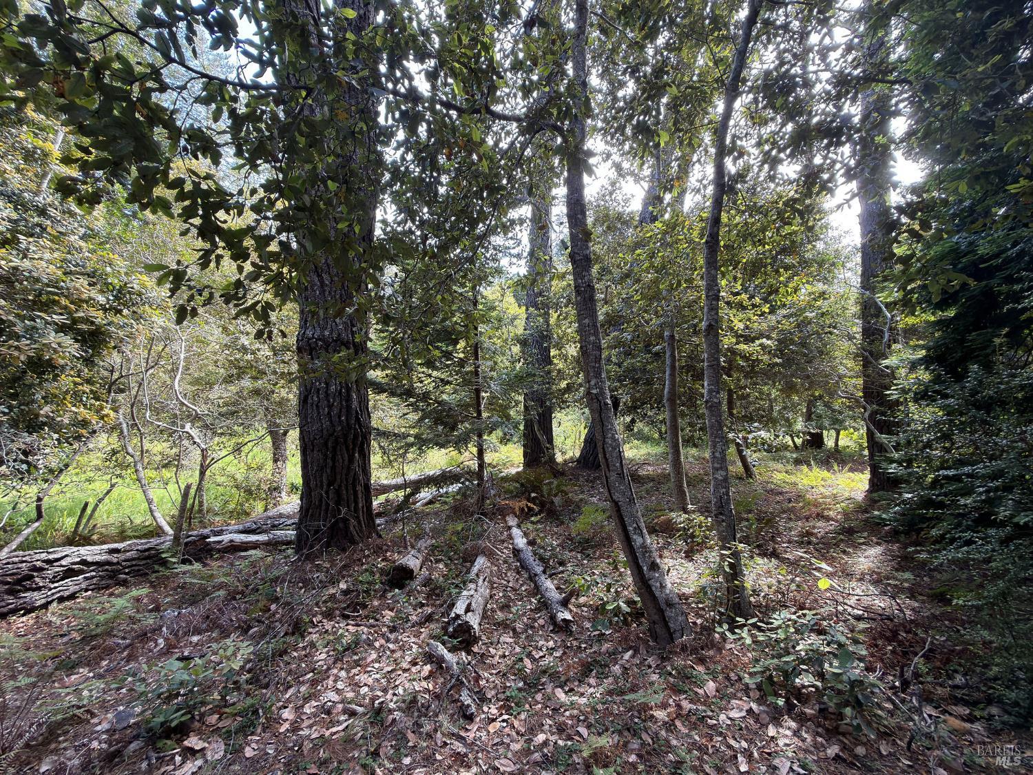 76 Compass Close The Sea Ranch CA 95497