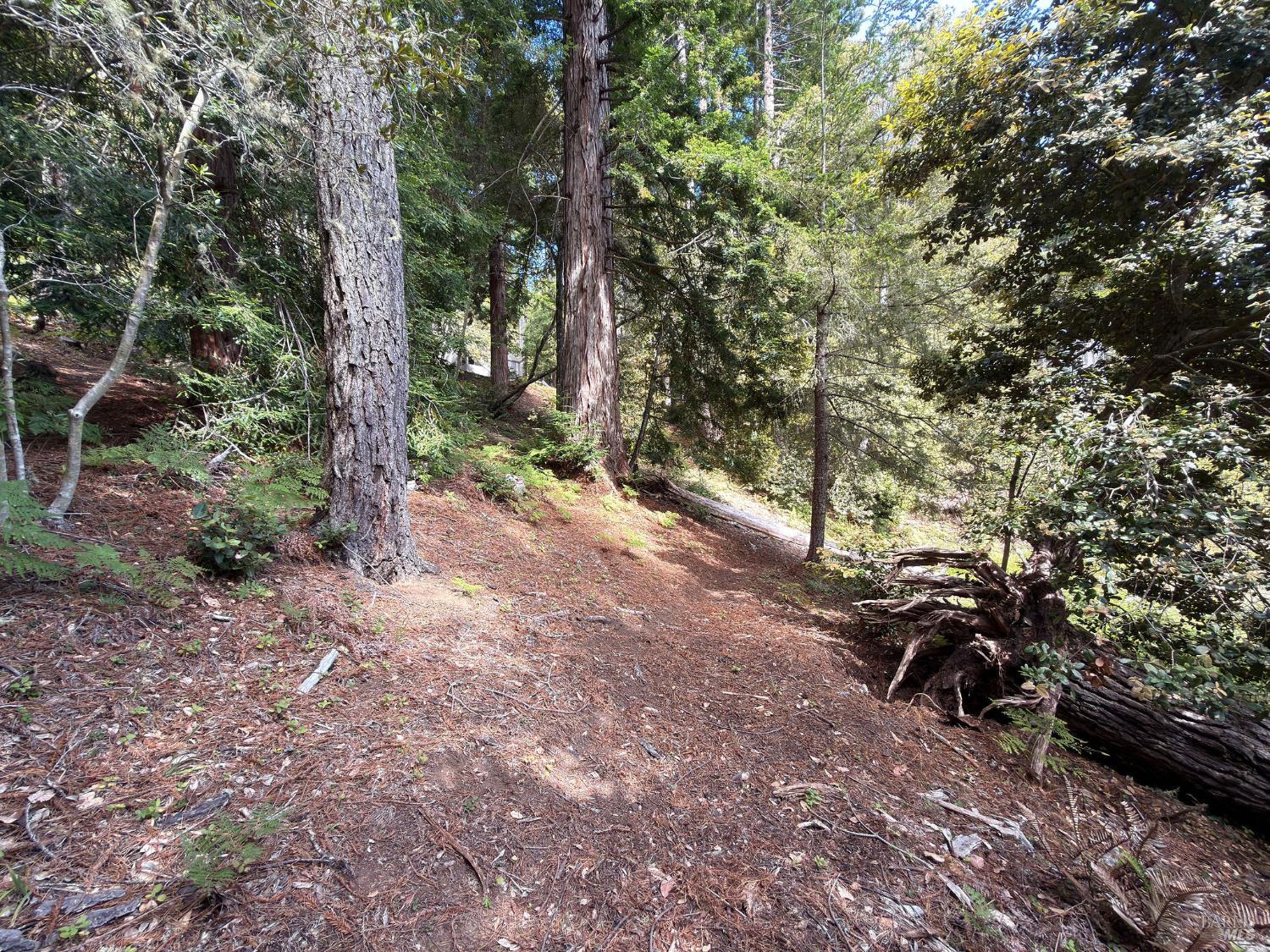76 Compass Close The Sea Ranch CA 95497