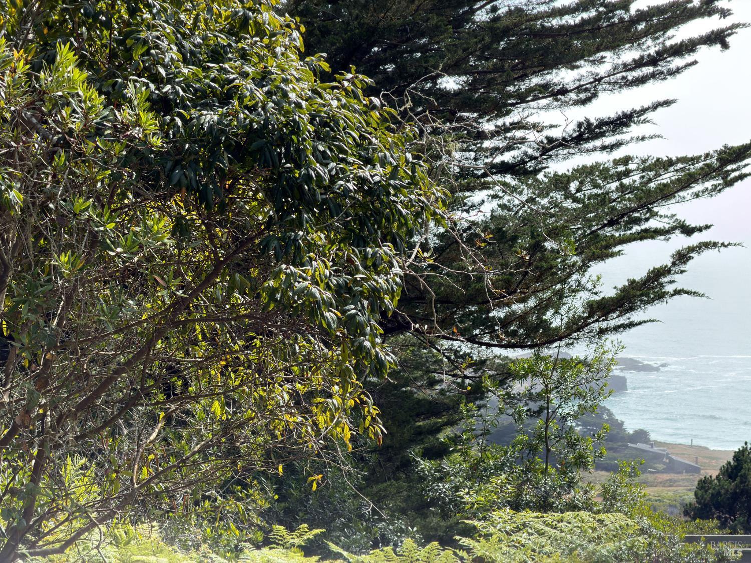 76 Compass Close The Sea Ranch CA 95497