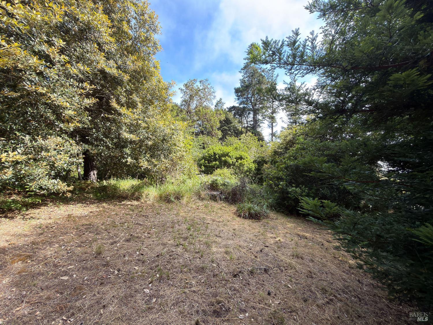 76 Compass Close The Sea Ranch CA 95497
