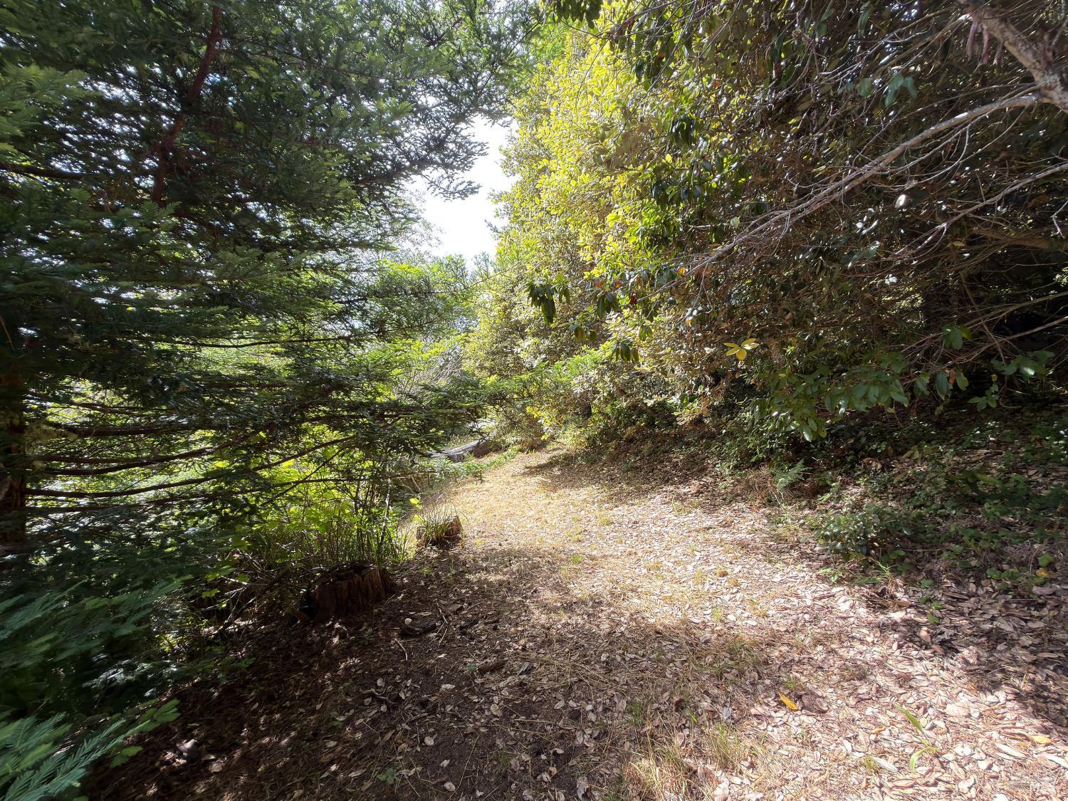 76 Compass Close The Sea Ranch CA 95497