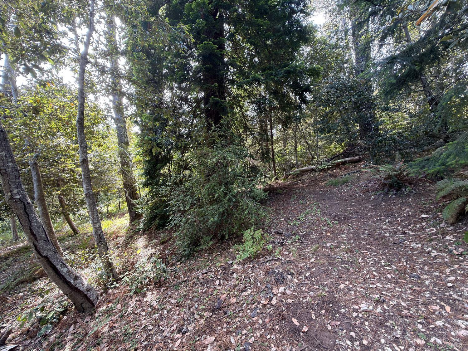 76 Compass Close The Sea Ranch CA 95497