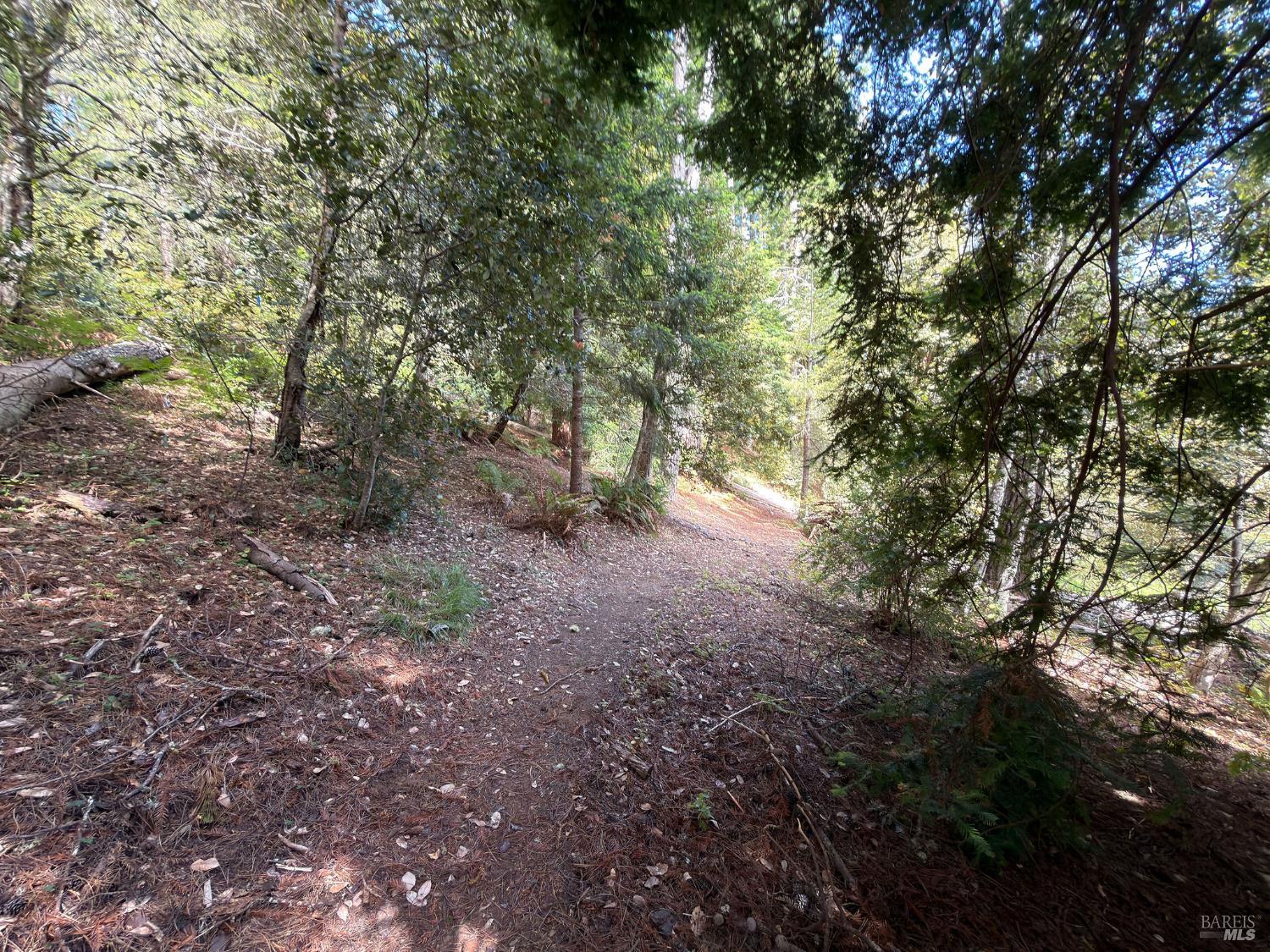 76 Compass Close The Sea Ranch CA 95497