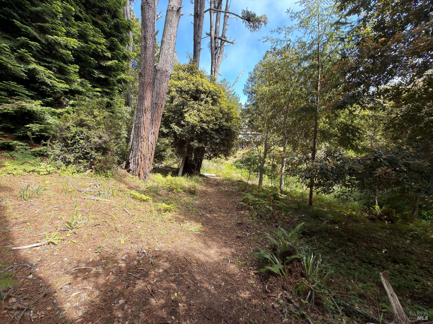 76 Compass Close The Sea Ranch CA 95497
