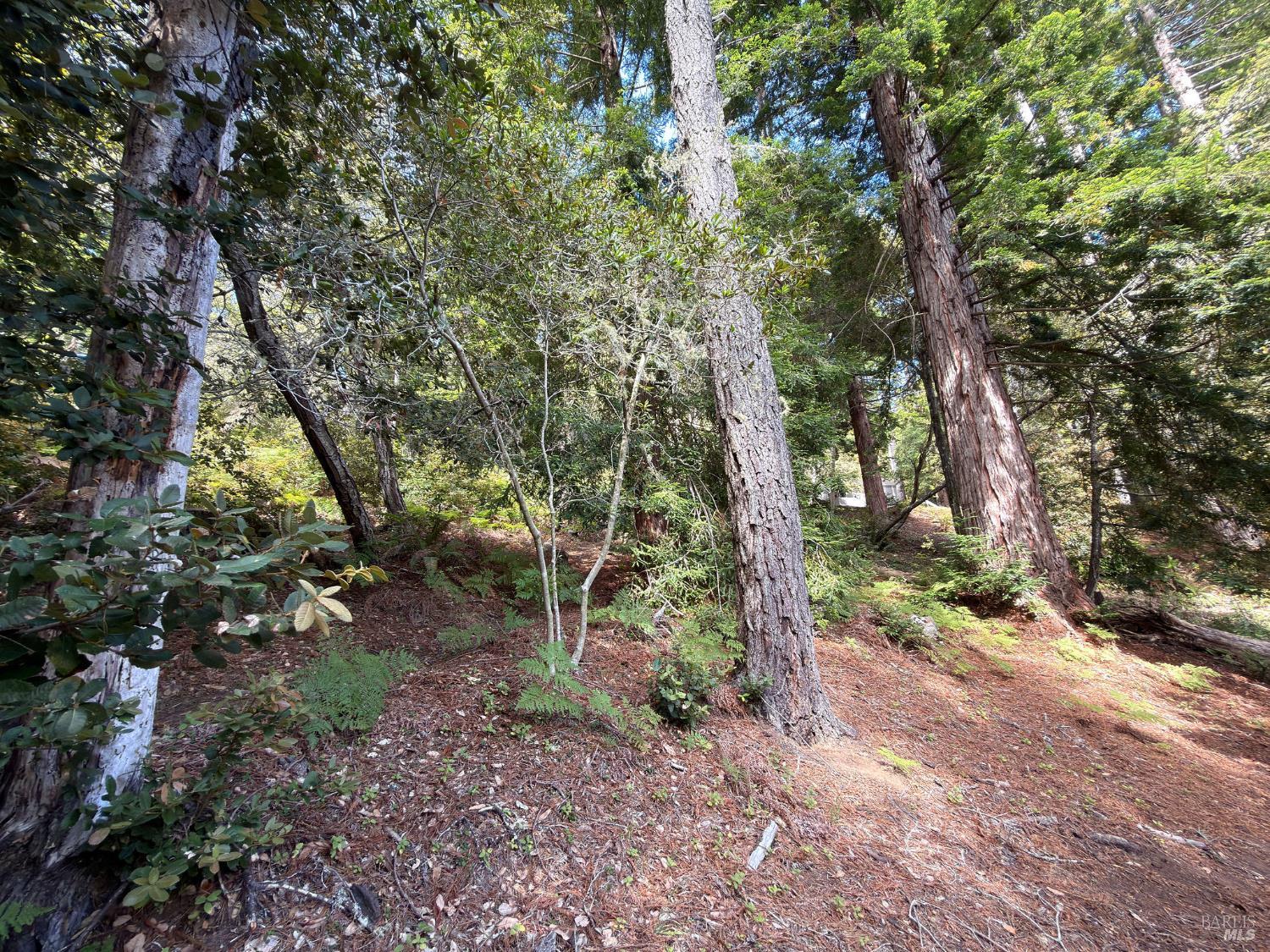 76 Compass Close The Sea Ranch CA 95497