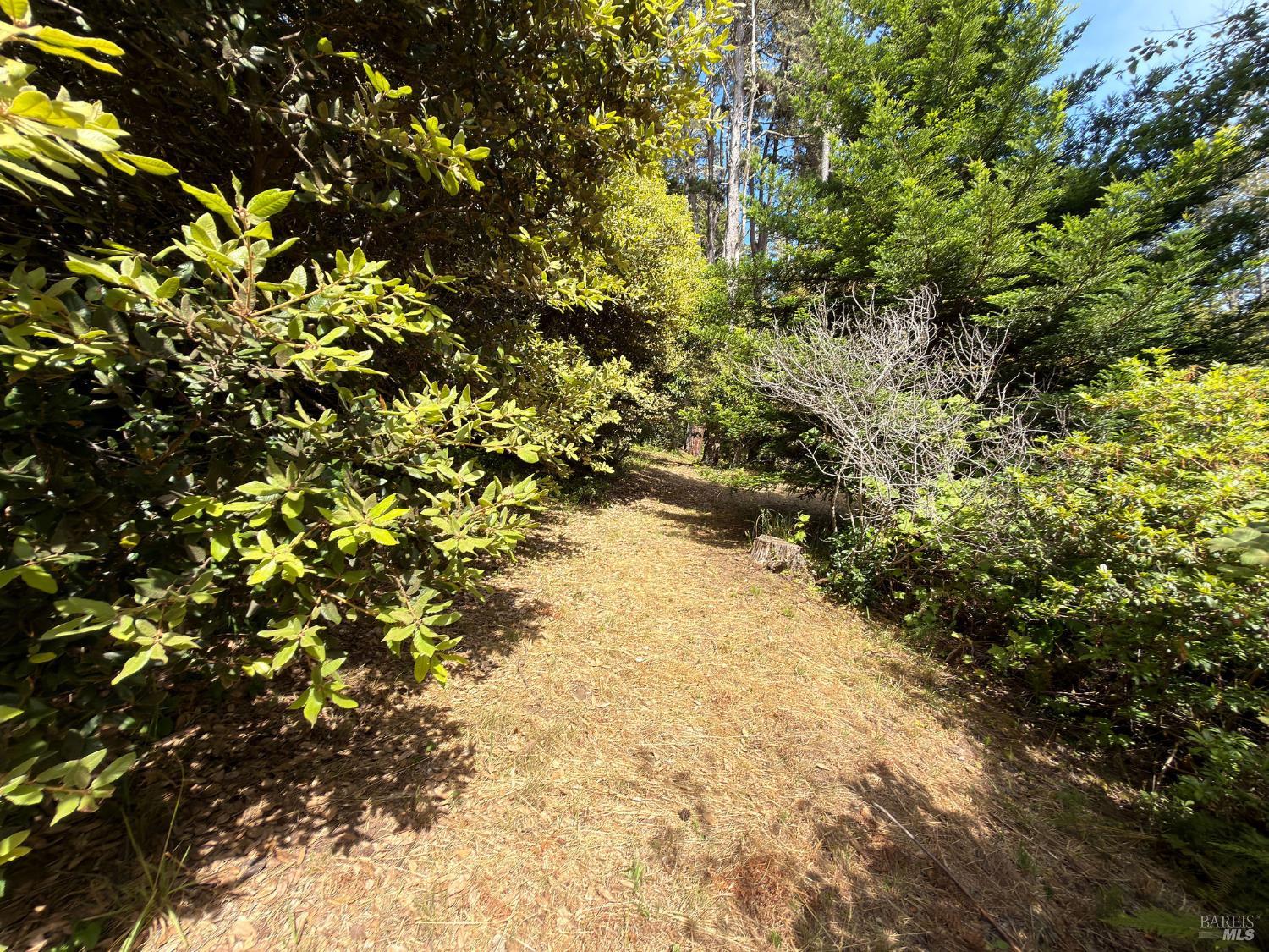 76 Compass Close The Sea Ranch CA 95497