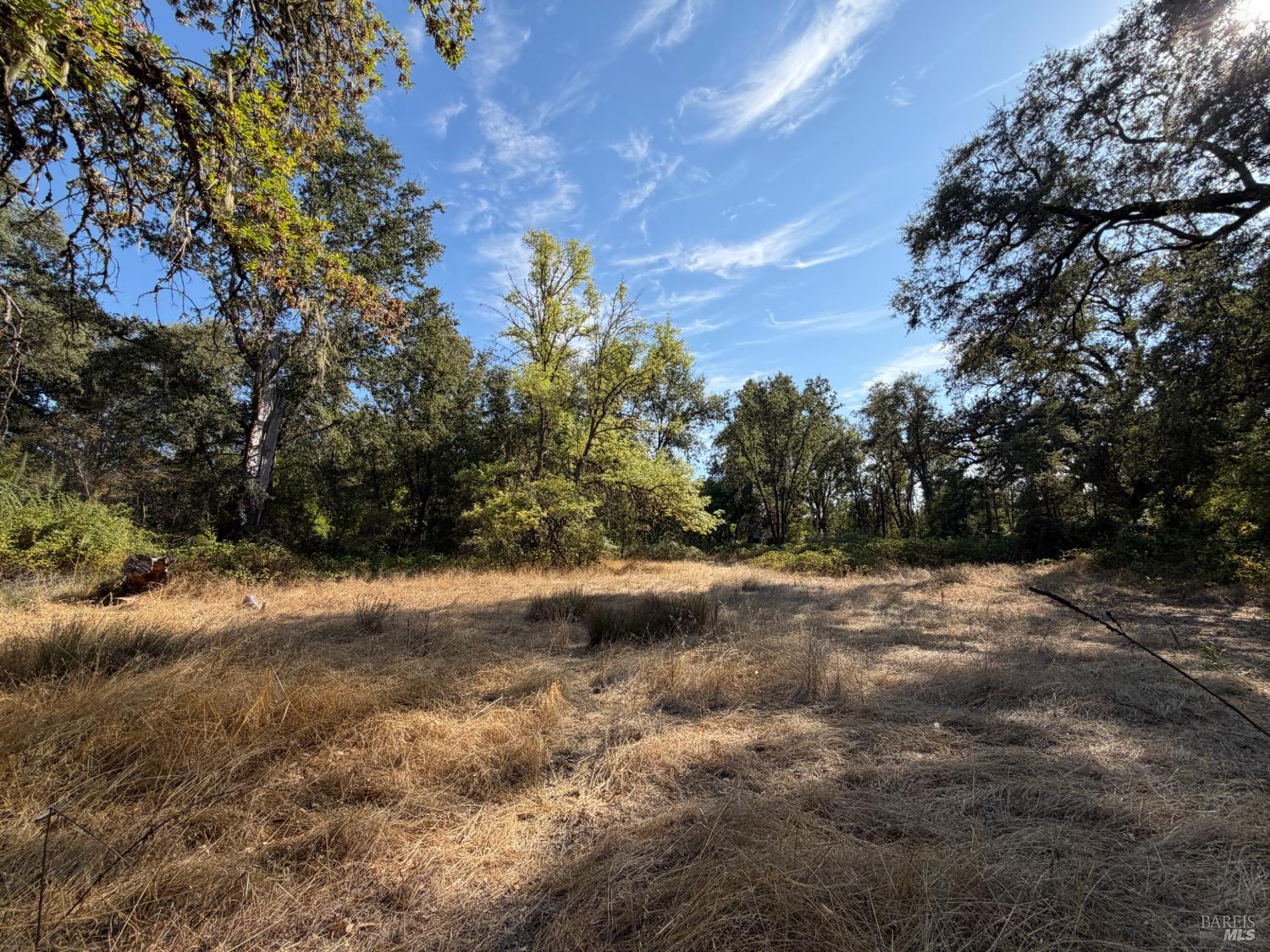 26000 East Lane Road Covelo CA 95428