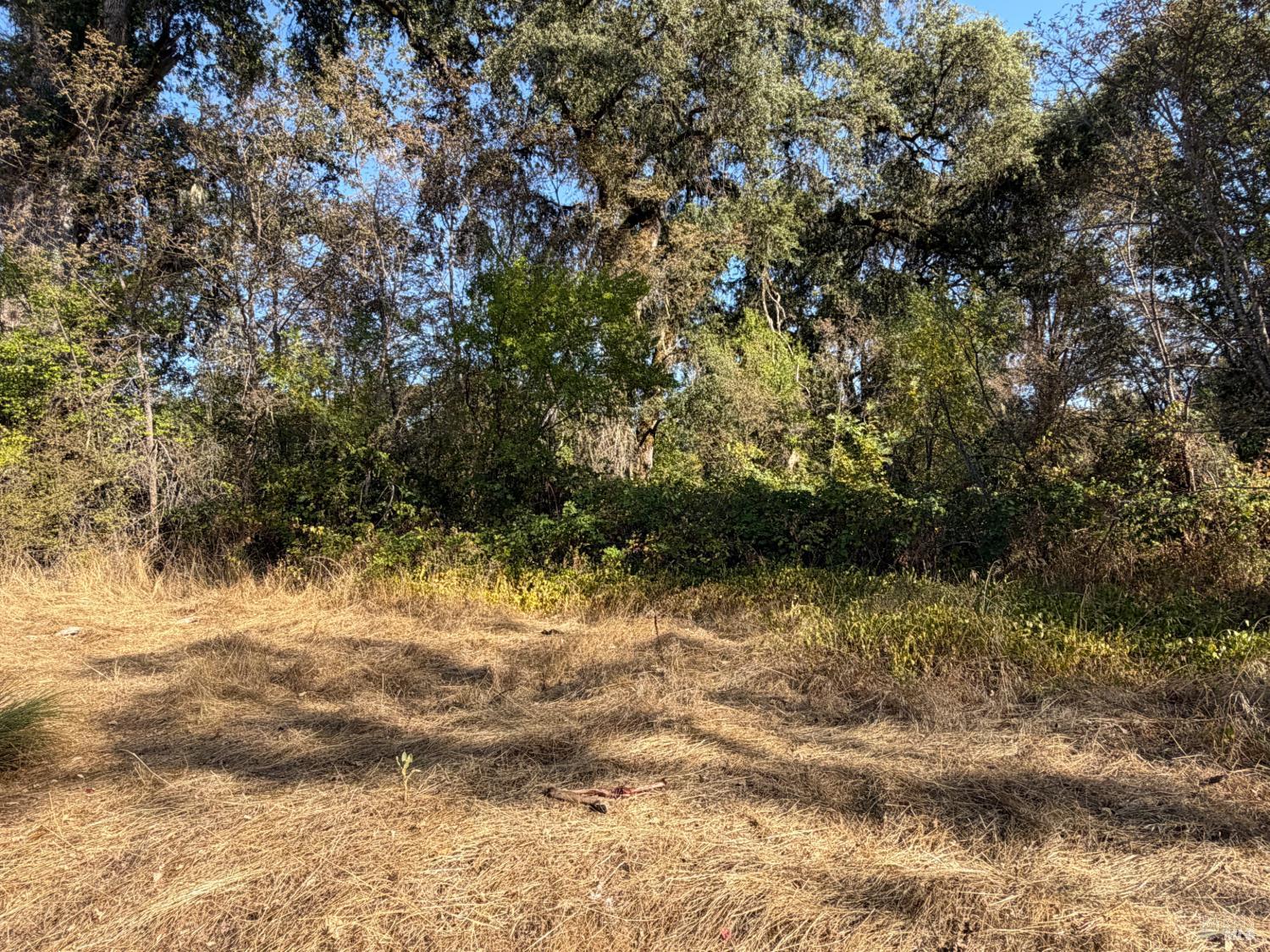 26000 East Lane Road Covelo CA 95428