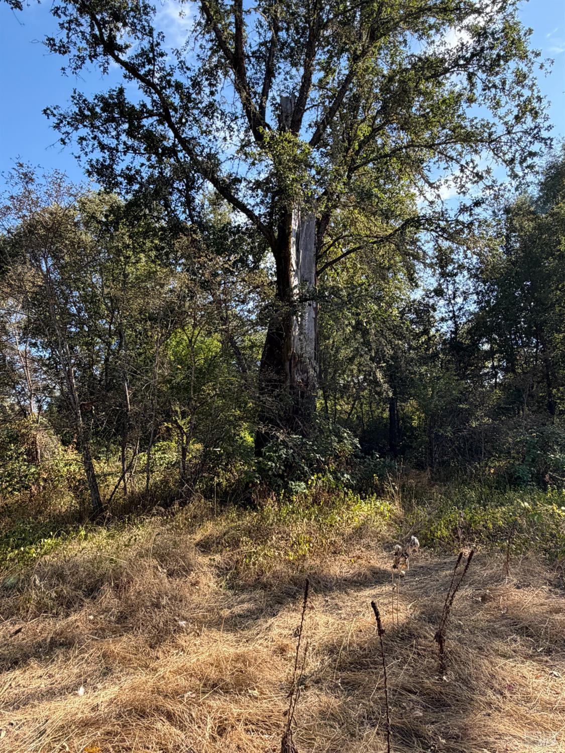 26000 East Lane Road Covelo CA 95428