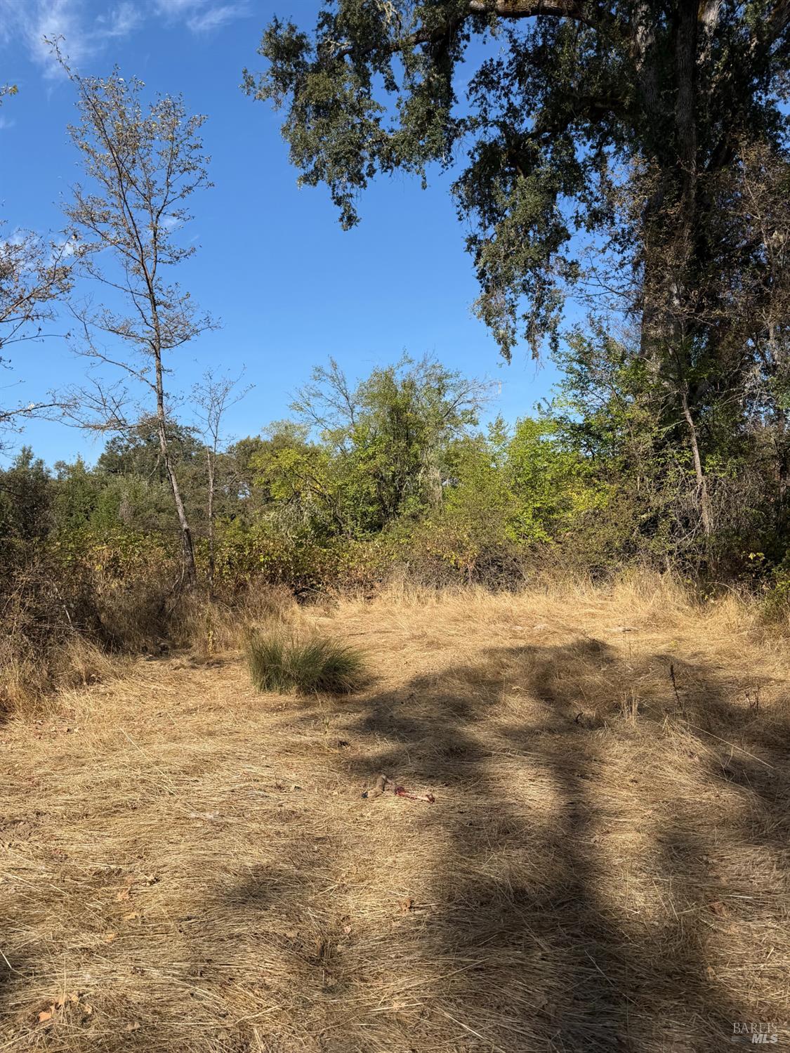 26000 East Lane Road Covelo CA 95428