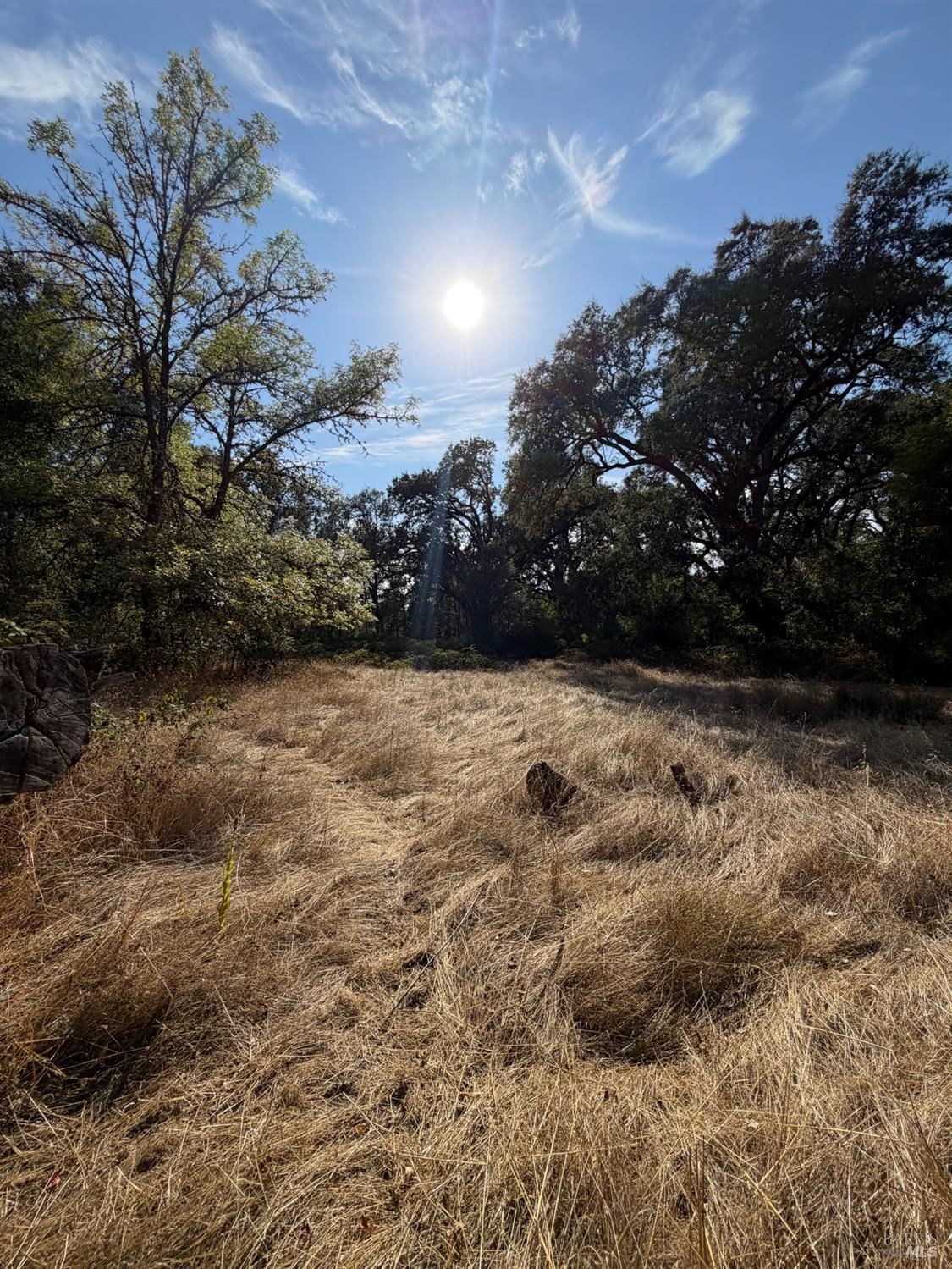 26000 East Lane Road Covelo CA 95428