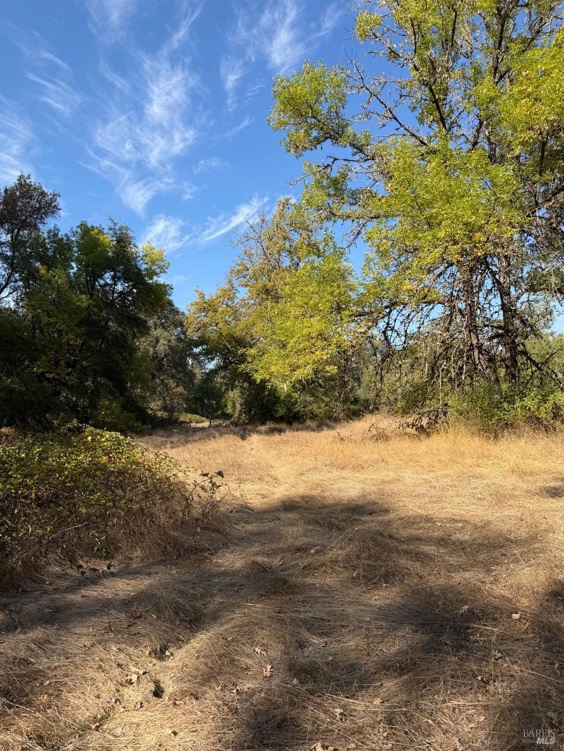26000 East Lane Road Covelo CA 95428
