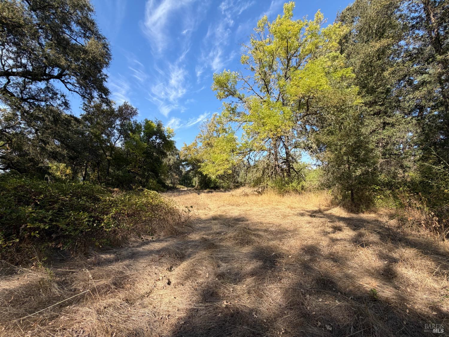 26000 East Lane Road Covelo CA 95428