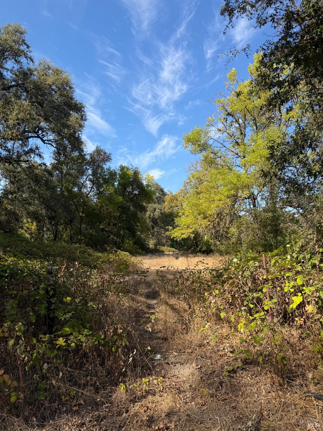 26000 East Lane Road Covelo CA 95428