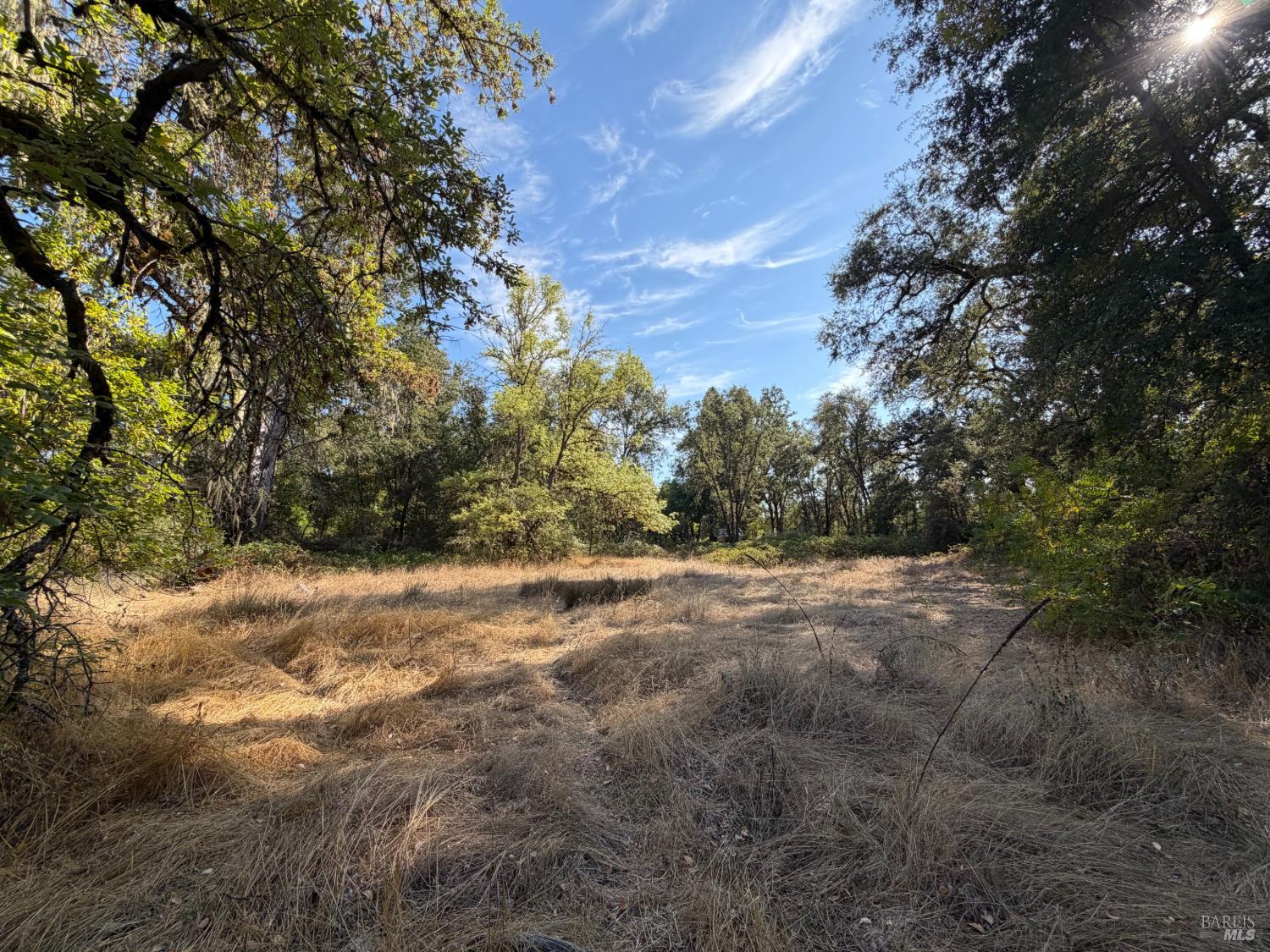26000 East Lane Road Covelo CA 95428