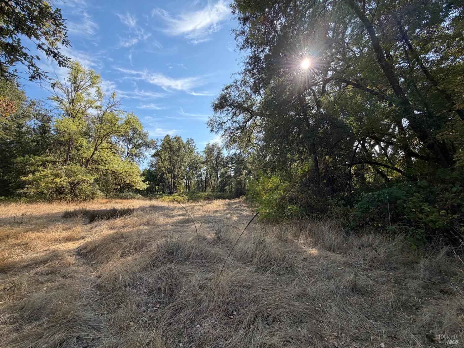 26000 East Lane Road Covelo CA 95428