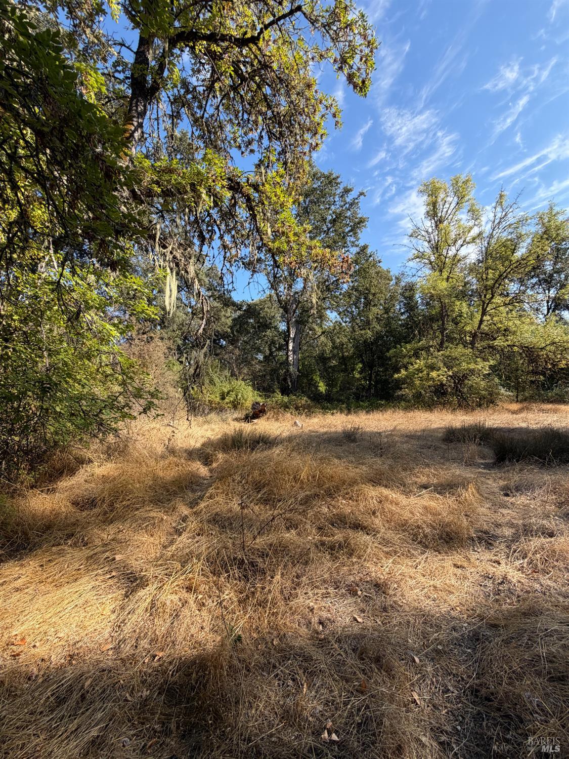 26000 East Lane Road Covelo CA 95428