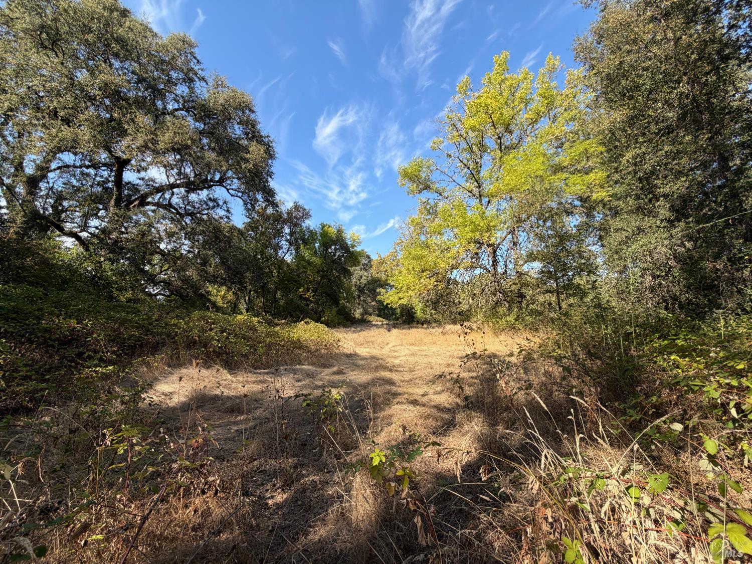26000 East Lane Road Covelo CA 95428