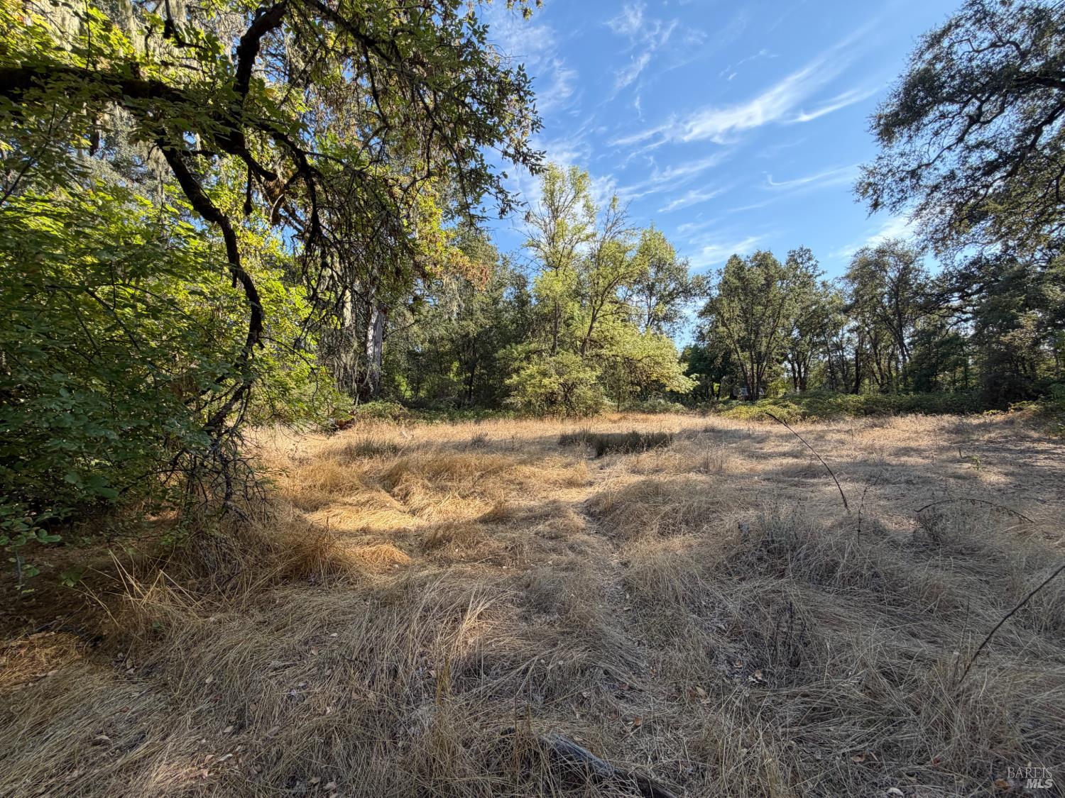 26000 East Lane Road Covelo CA 95428