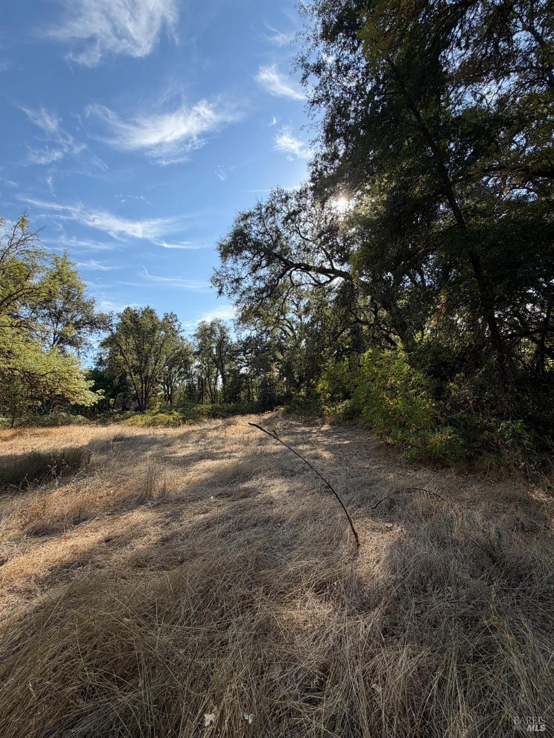 26000 East Lane Road Covelo CA 95428