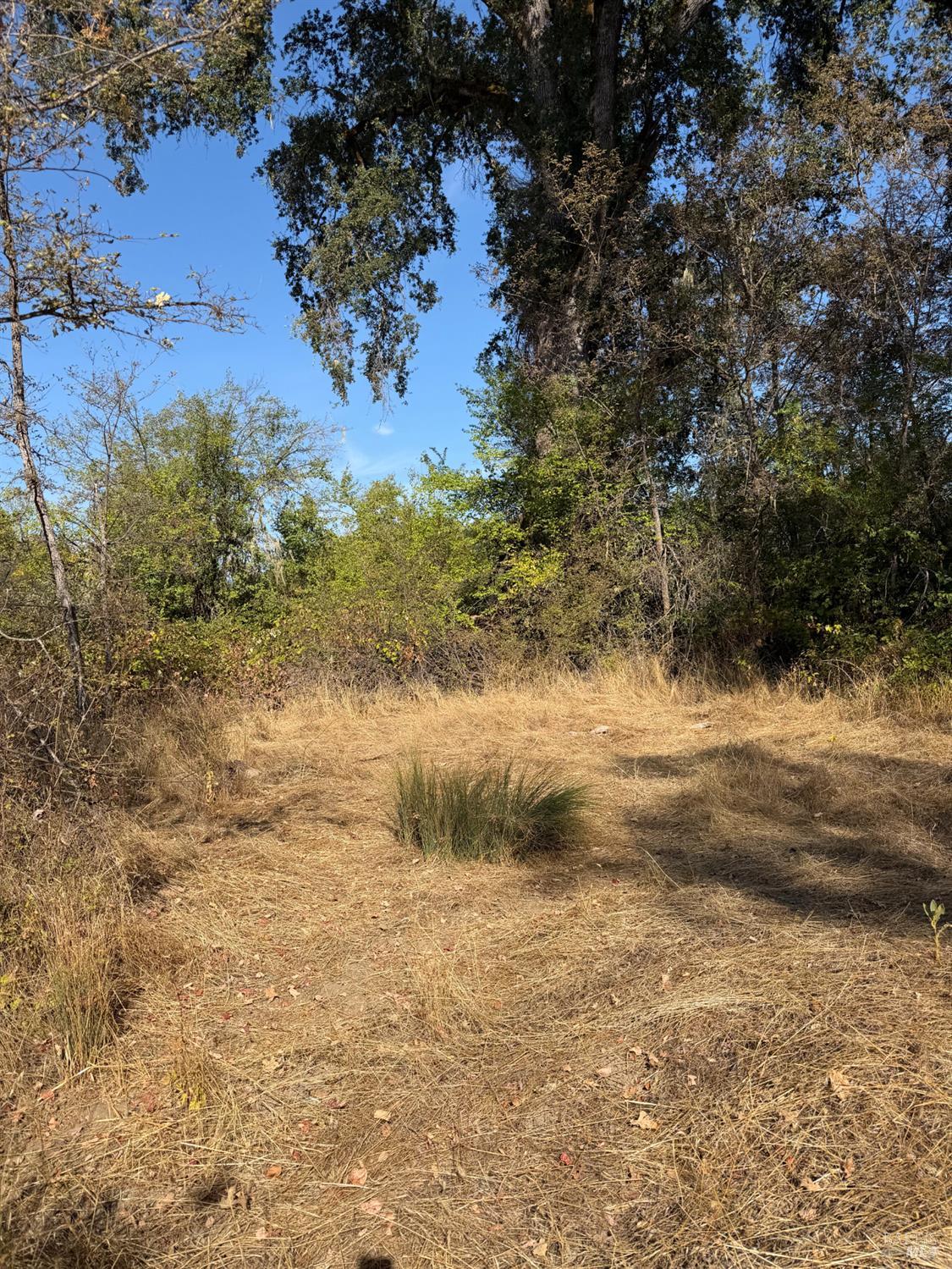 26000 East Lane Road Covelo CA 95428