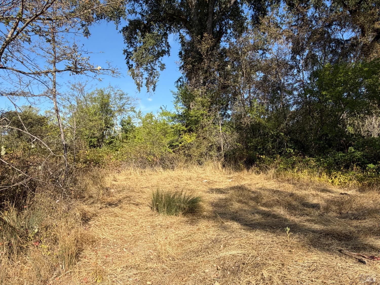 26000 East Lane Road Covelo CA 95428
