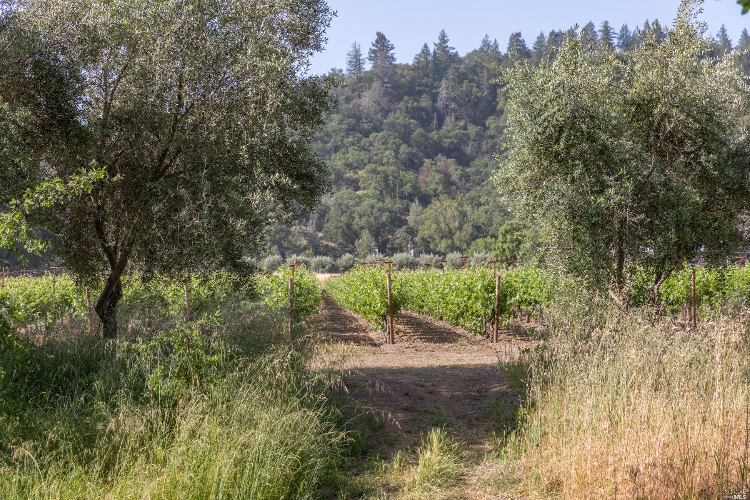31420 Highway 128 Cloverdale CA 95425