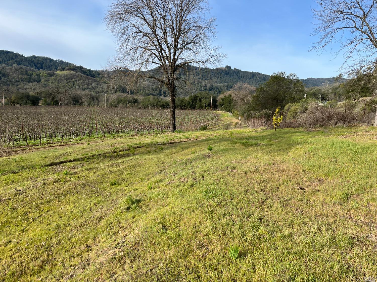 31420 Highway 128 Cloverdale CA 95425