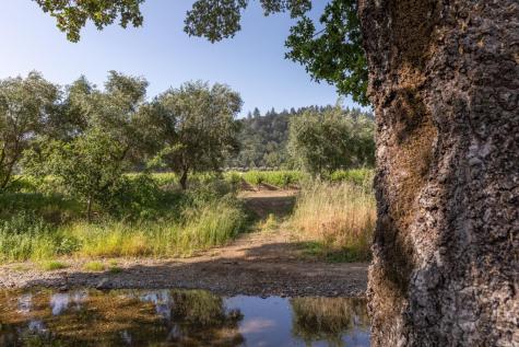 31420 Highway 128 Cloverdale CA 95425