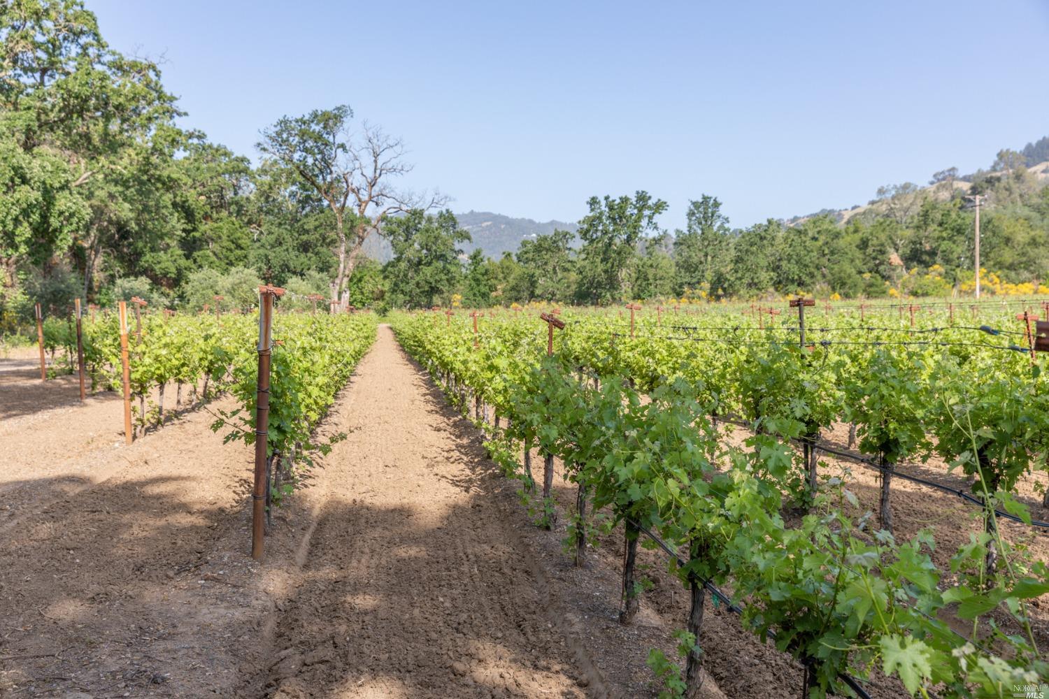 31420 Highway 128 Cloverdale CA 95425