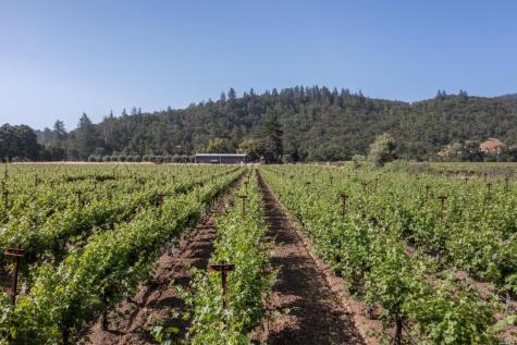 31420 Highway 128 Cloverdale CA 95425
