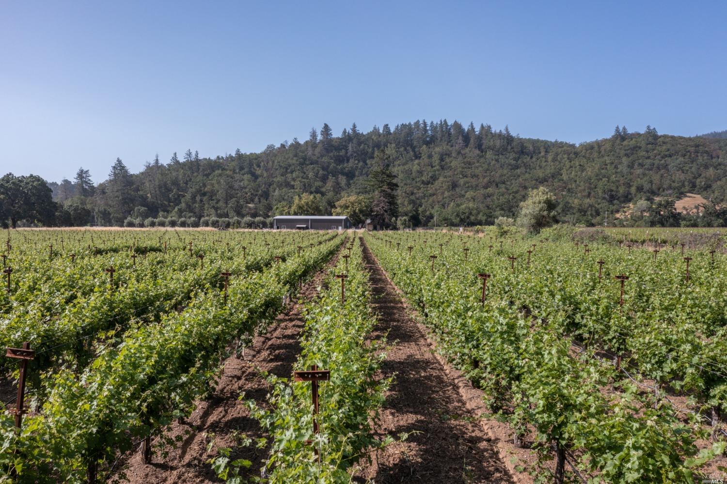 31420 Highway 128 Cloverdale CA 95425